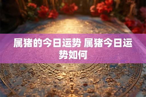 属猪的今日运势 属猪今日运势如何 属猪的今日运势 属猪今日运势如何