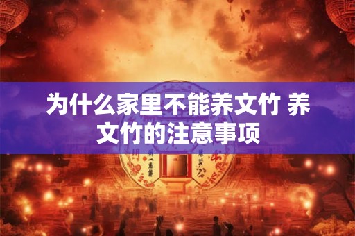 为什么家里不能养文竹 养文竹的注意事项 为什么家里不能养文竹 养文竹的注意事项