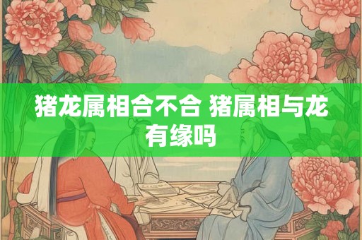 猪龙属相合不合 猪属相与龙有缘吗 猪龙属相合不合 猪属相与龙有缘吗