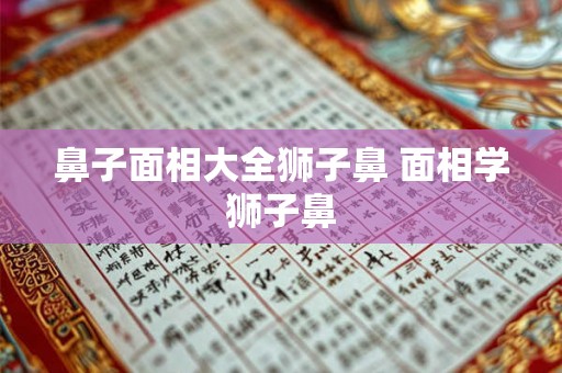 鼻子面相大全狮子鼻 面相学狮子鼻 鼻子面相大全狮子鼻 面相学狮子鼻