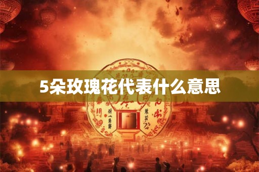5朵玫瑰花代表什么意思 5朵玫瑰花代表什么意思