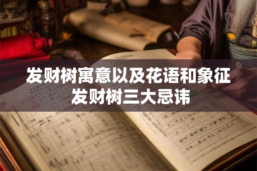 发财树寓意以及花语和象征 发财树三大忌讳 发财树寓意以及花语和象征 发财树三大忌讳