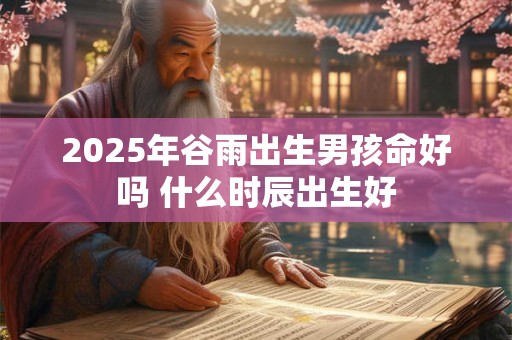 2025年谷雨出生男孩命好吗 什么时辰出生好 2025年谷雨出生男孩命好吗 什么时辰出生好