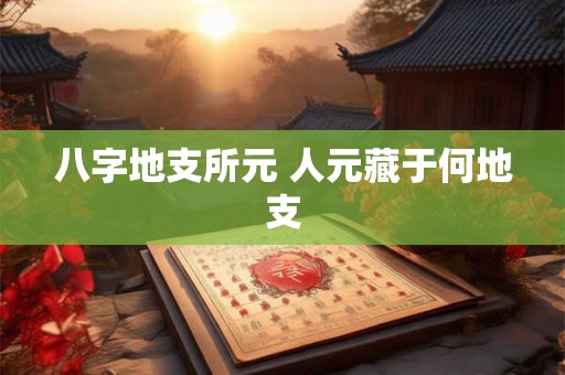 八字地支所元 人元藏于何地支