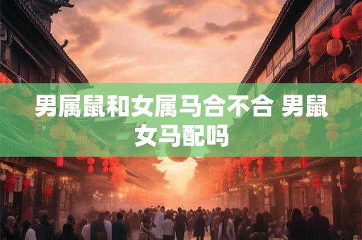男属鼠和女属马合不合 男鼠女马配吗