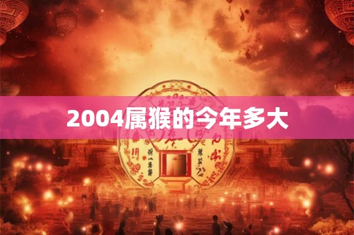 2004属猴的今年多大 2004属猴的今年多大
