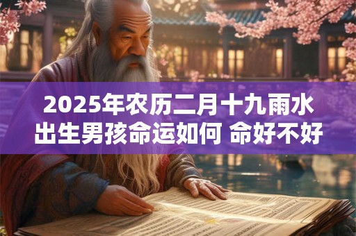 2025年农历二月十九雨水出生男孩命运如何 命好不好 2025年农历二月十九雨水出生男孩命运如何 命好不好