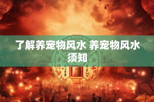 了解养宠物风水 养宠物风水须知 了解养宠物风水 养宠物风水须知