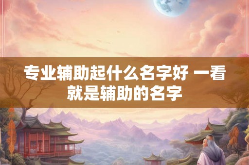 专业辅助起什么名字好 一看就是辅助的名字