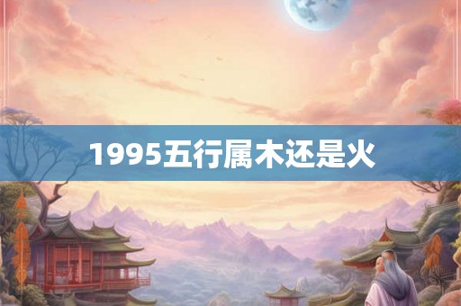 1995五行属木还是火 1995五行属木还是火