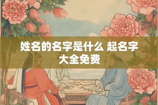 姓名的名字是什么 起名字大全免费 姓名的名字是什么 起名字大全免费