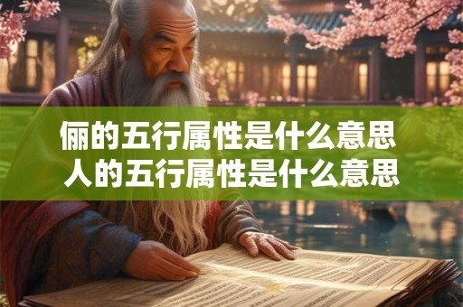 俪的五行属性是什么意思 人的五行属性是什么意思