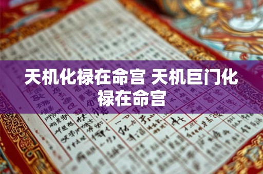 天机化禄在命宫 天机巨门化禄在命宫 天机化禄在命宫 天机巨门化禄在命宫