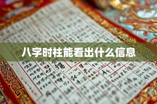 八字时柱能看出什么信息 八字时柱能看出什么信息