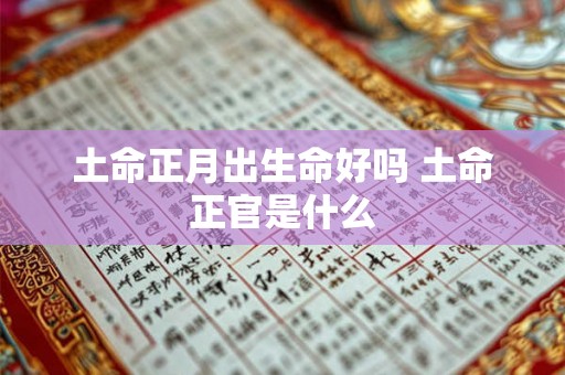 土命正月出生命好吗 土命正官是什么 土命正月出生命好吗 土命正官是什么