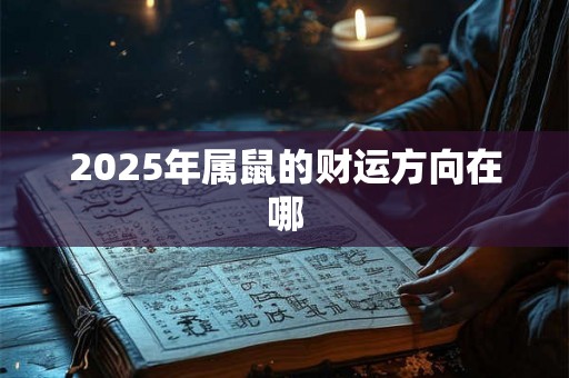 2025年属鼠的财运方向在哪 2025年属鼠的财运方向在哪
