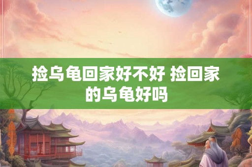 捡乌龟回家好不好 捡回家的乌龟好吗 捡乌龟回家好不好 捡回家的乌龟好吗