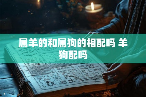 属羊的和属狗的相配吗 羊狗配吗