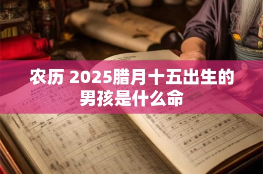 农历 2025腊月十五出生的男孩是什么命 农历 2025腊月十五出生的男孩是什么命