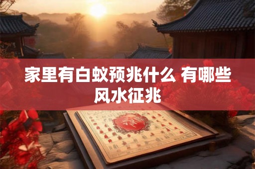家里有白蚁预兆什么 有哪些风水征兆 家里有白蚁预兆什么 有哪些风水征兆