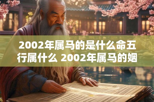2002年属马的是什么命五行属什么 2002年属马的姻缘在哪年