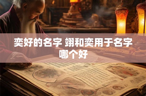 奕好的名字 翊和奕用于名字哪个好 奕好的名字 翊和奕用于名字哪个好
