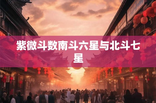 紫微斗数南斗六星与北斗七星