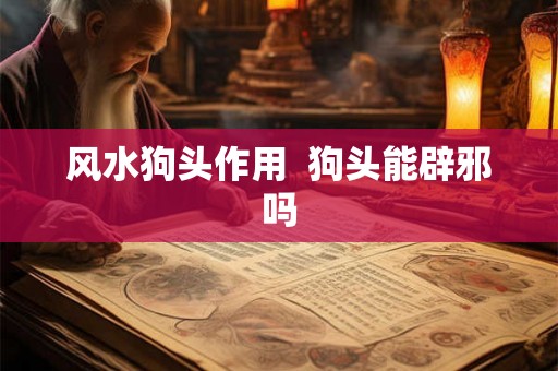 风水狗头作用 狗头能辟邪吗 风水狗头作用 狗头能辟邪吗