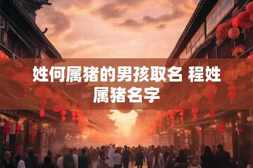 姓何属猪的男孩取名 程姓属猪名字