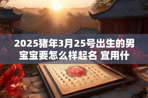 2025猪年3月25号出生的男宝宝要怎么样起名 宜用什么字 2025猪年3月25号出生的男宝宝要怎么样起名 宜用什么字