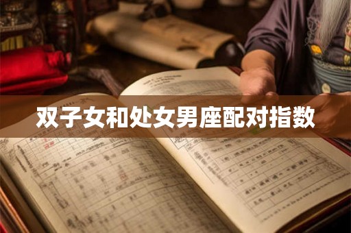 双子女和处女男座配对指数 双子女和处女男座配对指数