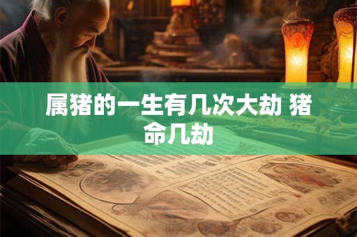 属猪的一生有几次大劫 猪命几劫 属猪的一生有几次大劫 猪命几劫