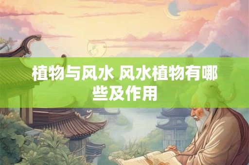植物与风水 风水植物有哪些及作用 植物与风水 风水植物有哪些及作用