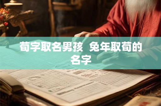 荀字取名男孩 兔年取荀的名字 荀字取名男孩 兔年取荀的名字