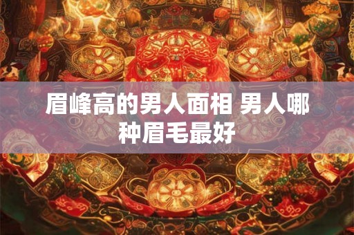 眉峰高的男人面相 男人哪种眉毛最好 眉峰高的男人面相 男人哪种眉毛最好
