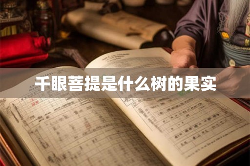 千眼菩提是什么树的果实 千眼菩提是什么树的果实