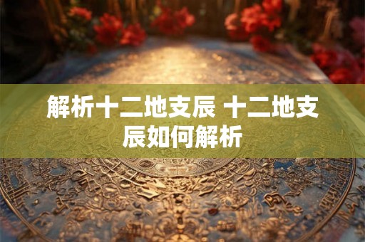 解析十二地支辰 十二地支辰如何解析