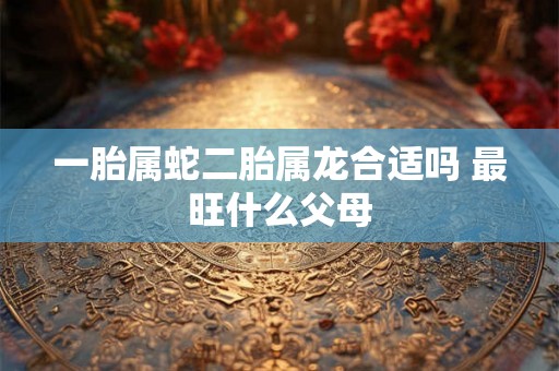 一胎属蛇二胎属龙合适吗 最旺什么父母 一胎属蛇二胎属龙合适吗 最旺什么父母