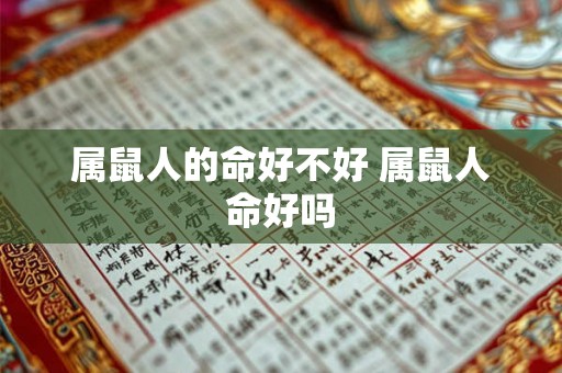属鼠人的命好不好 属鼠人命好吗 属鼠人的命好不好 属鼠人命好吗