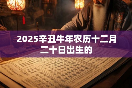 2025辛丑牛年农历十二月二十日出生的 2025辛丑牛年农历十二月二十日出生的