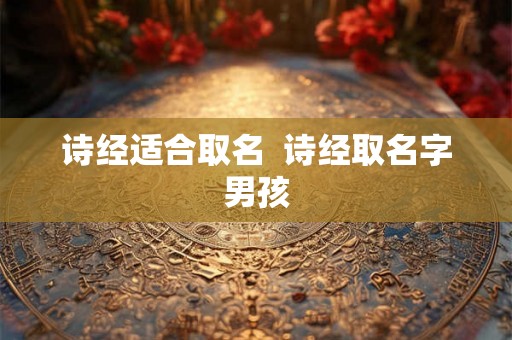 诗经适合取名 诗经取名字男孩 诗经适合取名 诗经取名字男孩