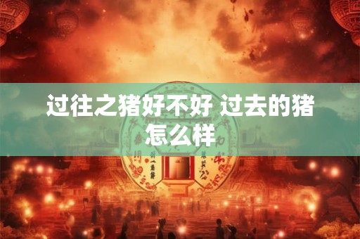 过往之猪好不好 过去的猪怎么样
