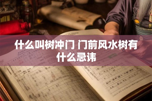 什么叫树冲门 门前风水树有什么忌讳 什么叫树冲门 门前风水树有什么忌讳