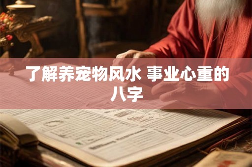 了解养宠物风水 事业心重的八字 了解养宠物风水 事业心重的八字