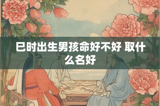 巳时出生男孩命好不好 取什么名好 巳时出生男孩命好不好 取什么名好