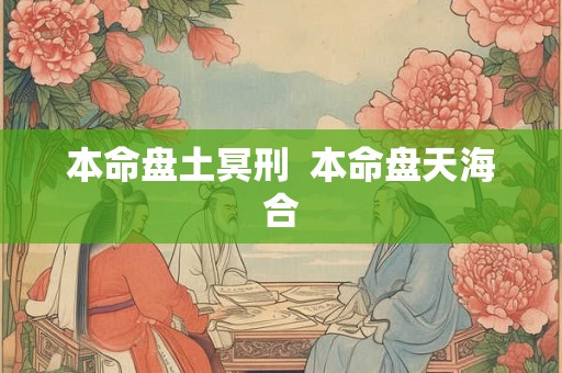 本命盘土冥刑 本命盘天海合 本命盘土冥刑 本命盘天海合