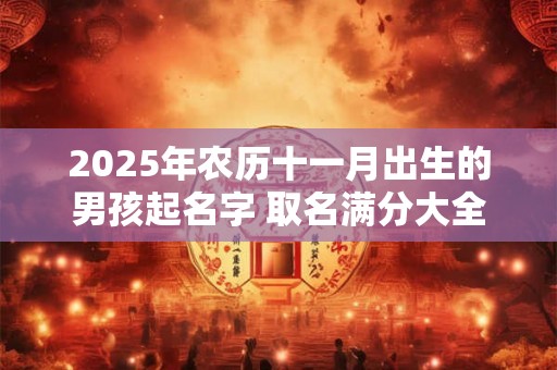 2025年农历十一月出生的男孩起名字 取名满分大全