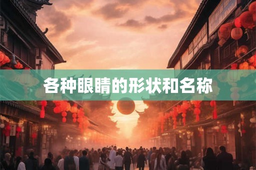 各种眼睛的形状和名称 各种眼睛的形状和名称