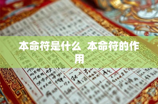 本命符是什么  本命符的作用