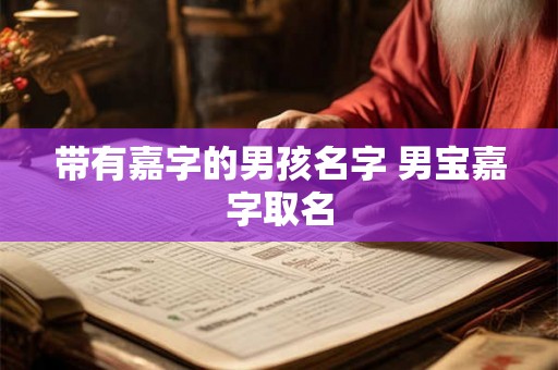 带有嘉字的男孩名字 男宝嘉字取名